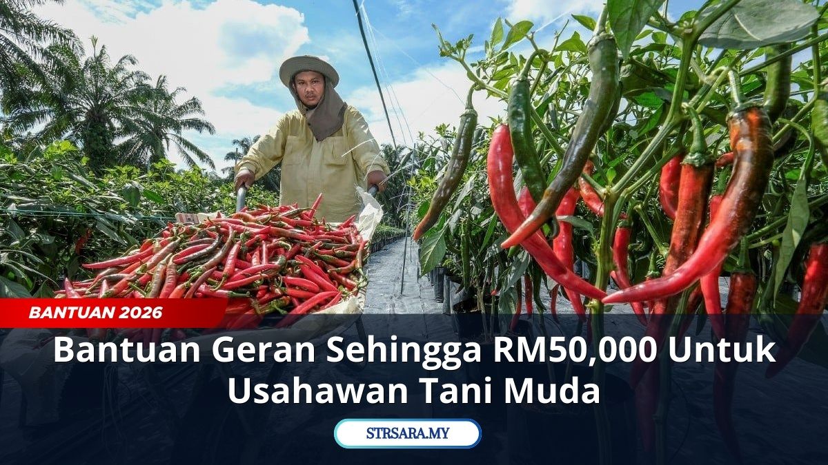 Bantuan Geran